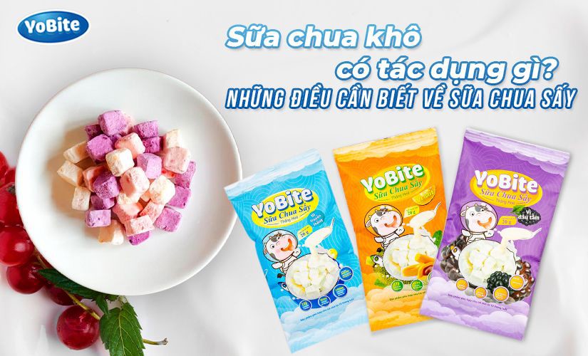 SỮA CHUA KHÔ CÓ TÁC DỤNG GÌ? NHỮNG ĐIỀU BẠN CẦN BIẾT VỀ SỮA CHUA SẤY