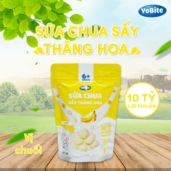 Sữa Chua Sấy Khô Cho Bé 20gr - Vị Chuối - Phiên Bản Mới