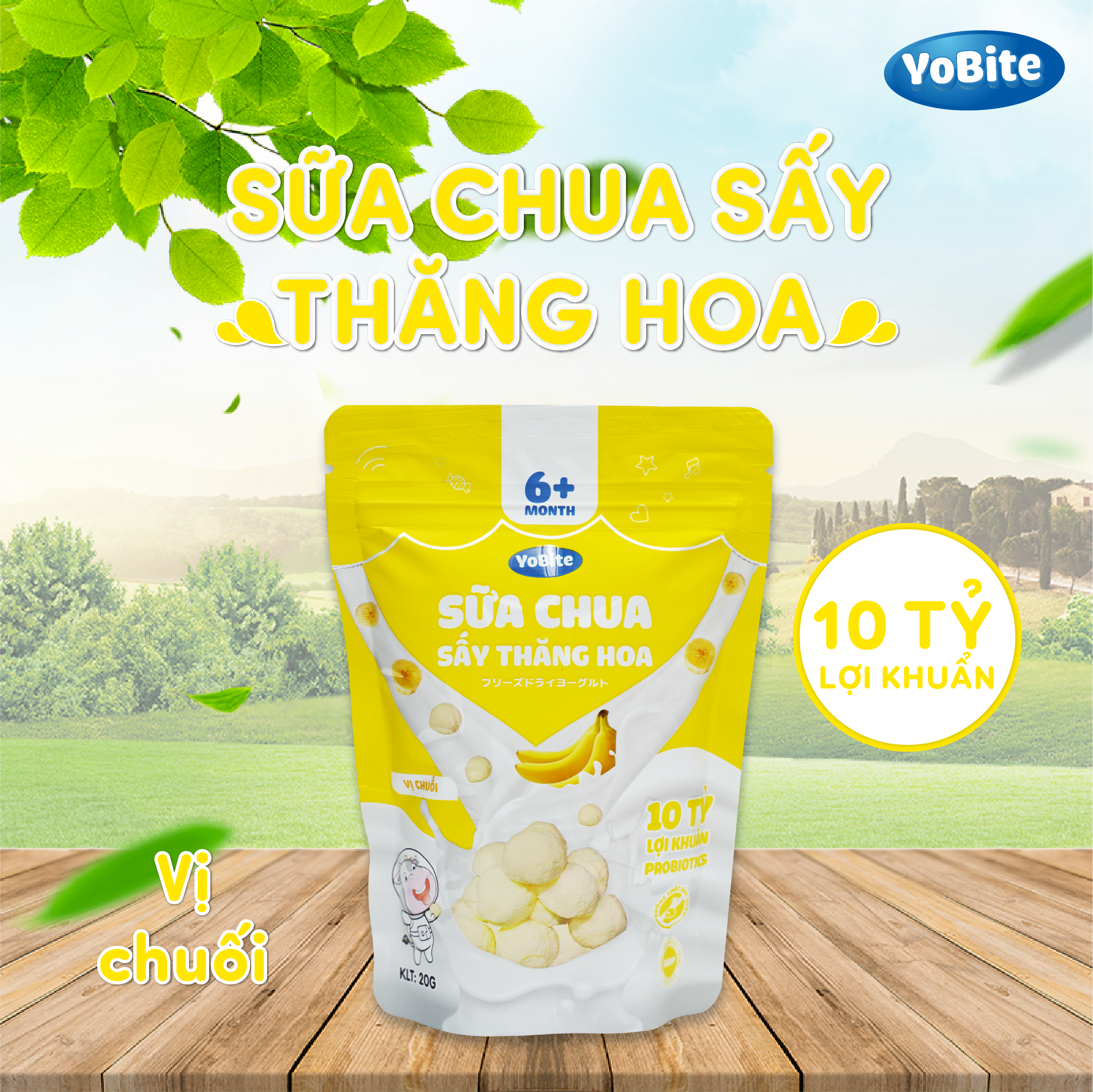  Sữa Chua Sấy Khô Cho Bé 20gr - Vị Chuối - Phiên Bản Mới 