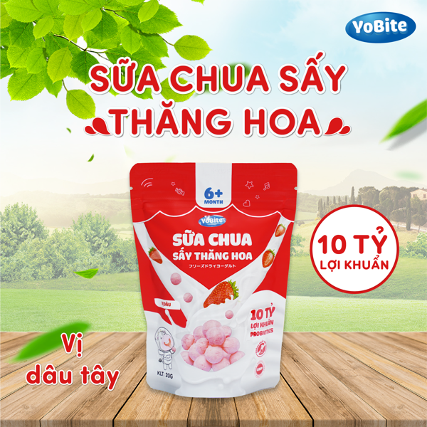 Sữa Chua Sấy Khô Cho Bé 20gr - Vị Dâu Tây - Phiên Bản Mới