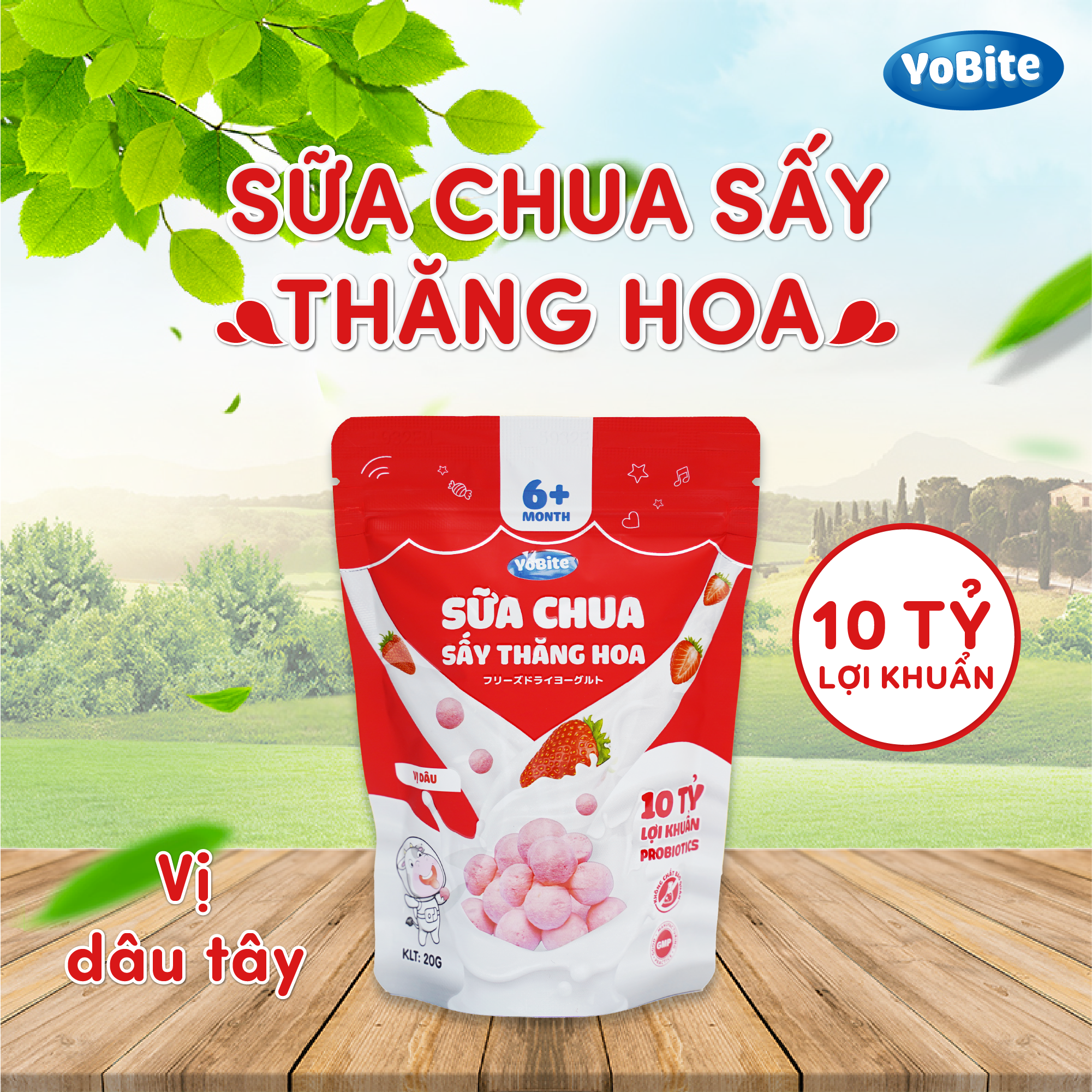  Sữa Chua Sấy Khô Cho Bé 20gr - Vị Dâu Tây - Phiên Bản Mới 