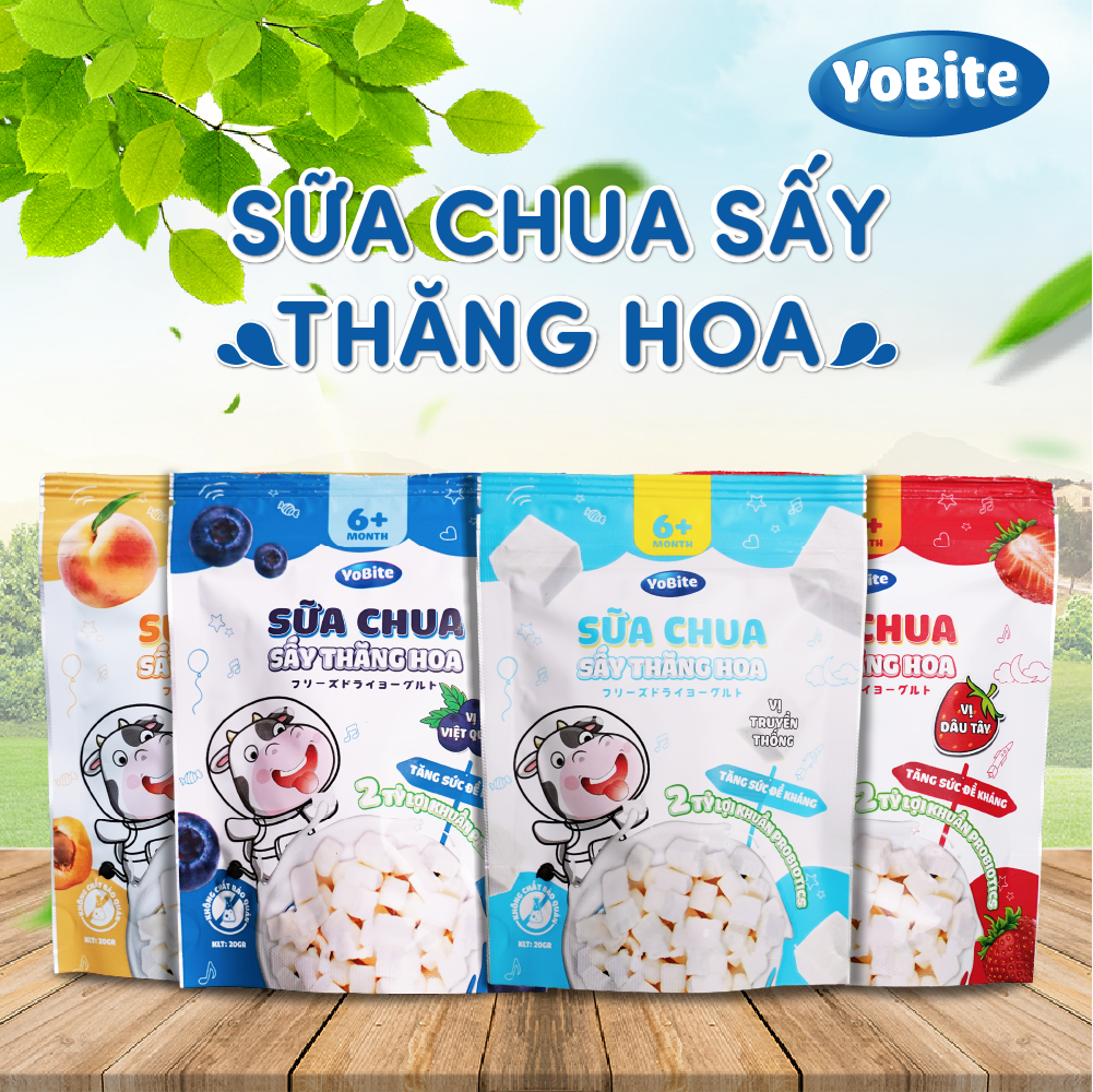  Sữa Chua Sấy Khô Cho Bé - YoBite Kids - Vị Việt Quất - 20gr - Túi Zip 