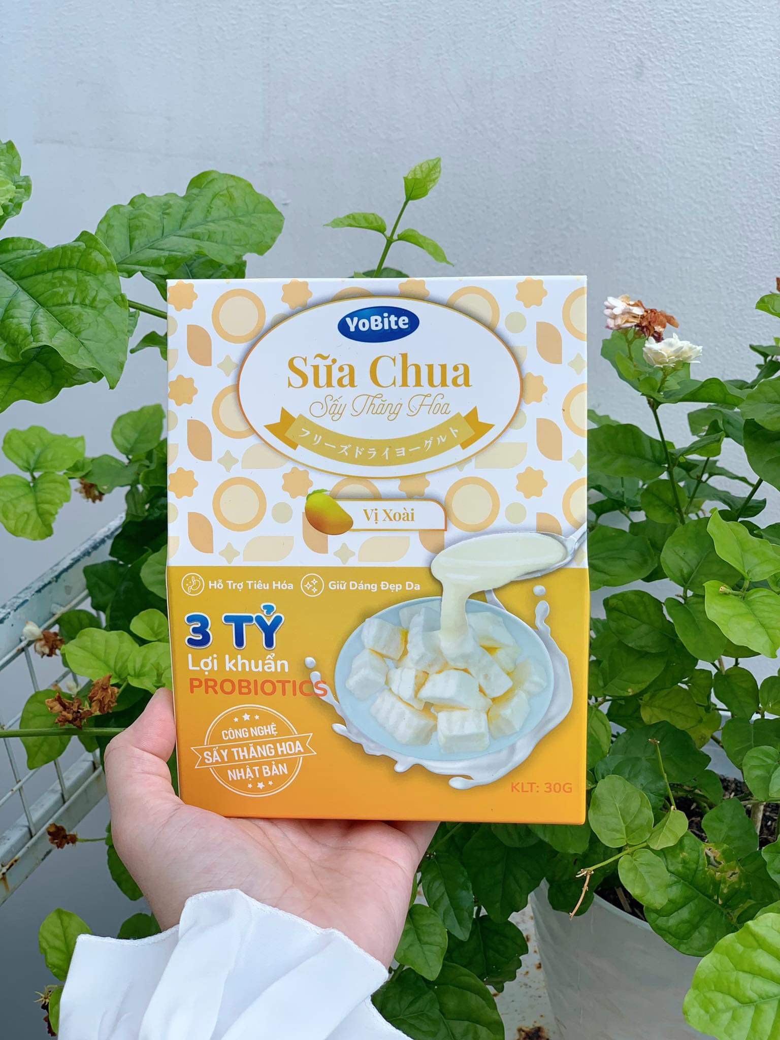  Sữa Chua Sấy Thăng Hoa - YoBite Healthy - Vị Xoài - 30gr 