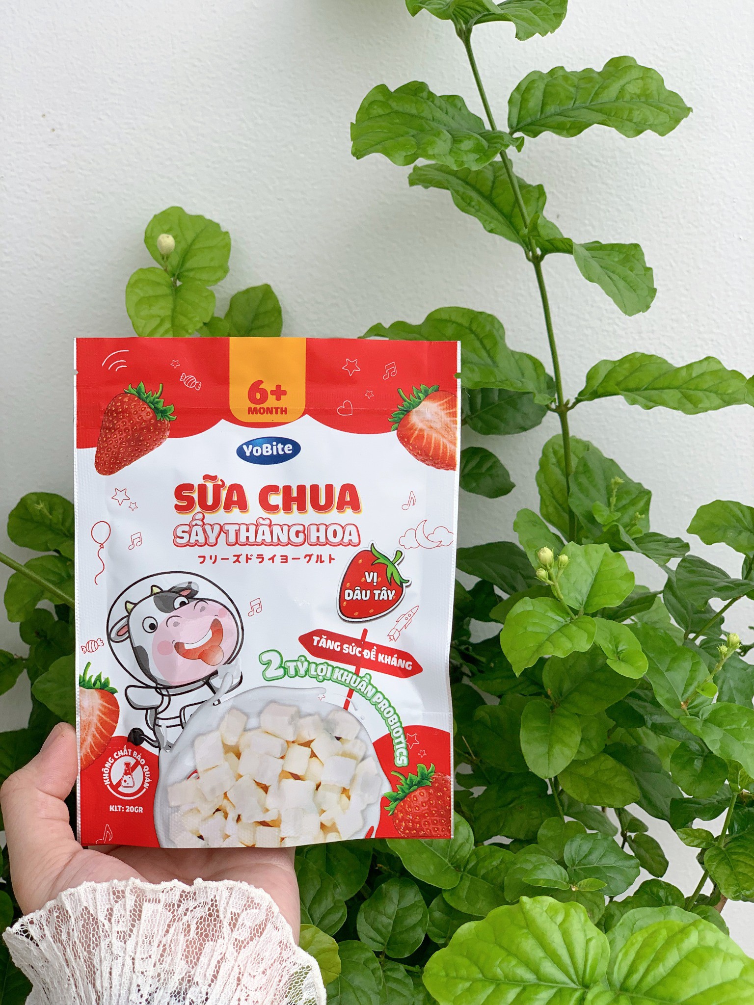  Sữa Chua Sấy Thăng Hoa YoBite - Vị Dâu Tây - 20gr 