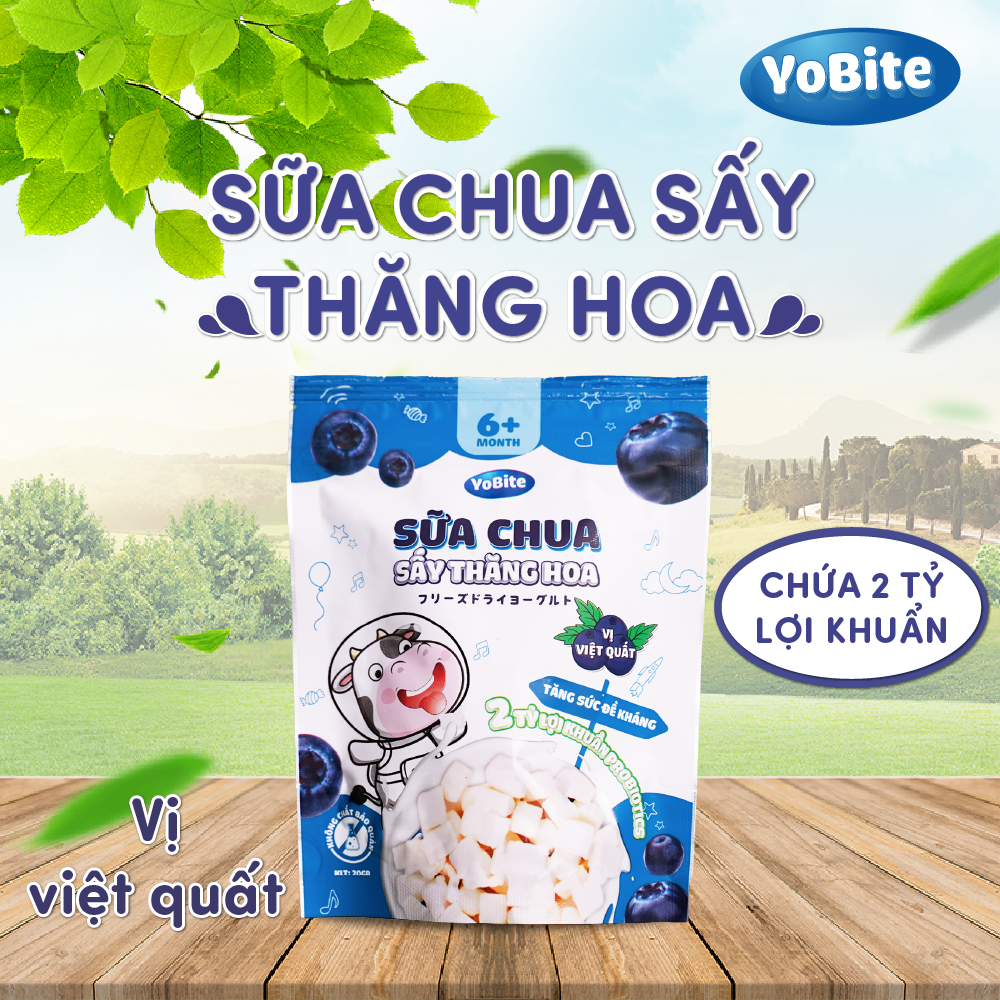  Sữa Chua Sấy Khô Cho Bé - YoBite Kids - Vị Việt Quất - 20gr - Túi Zip 