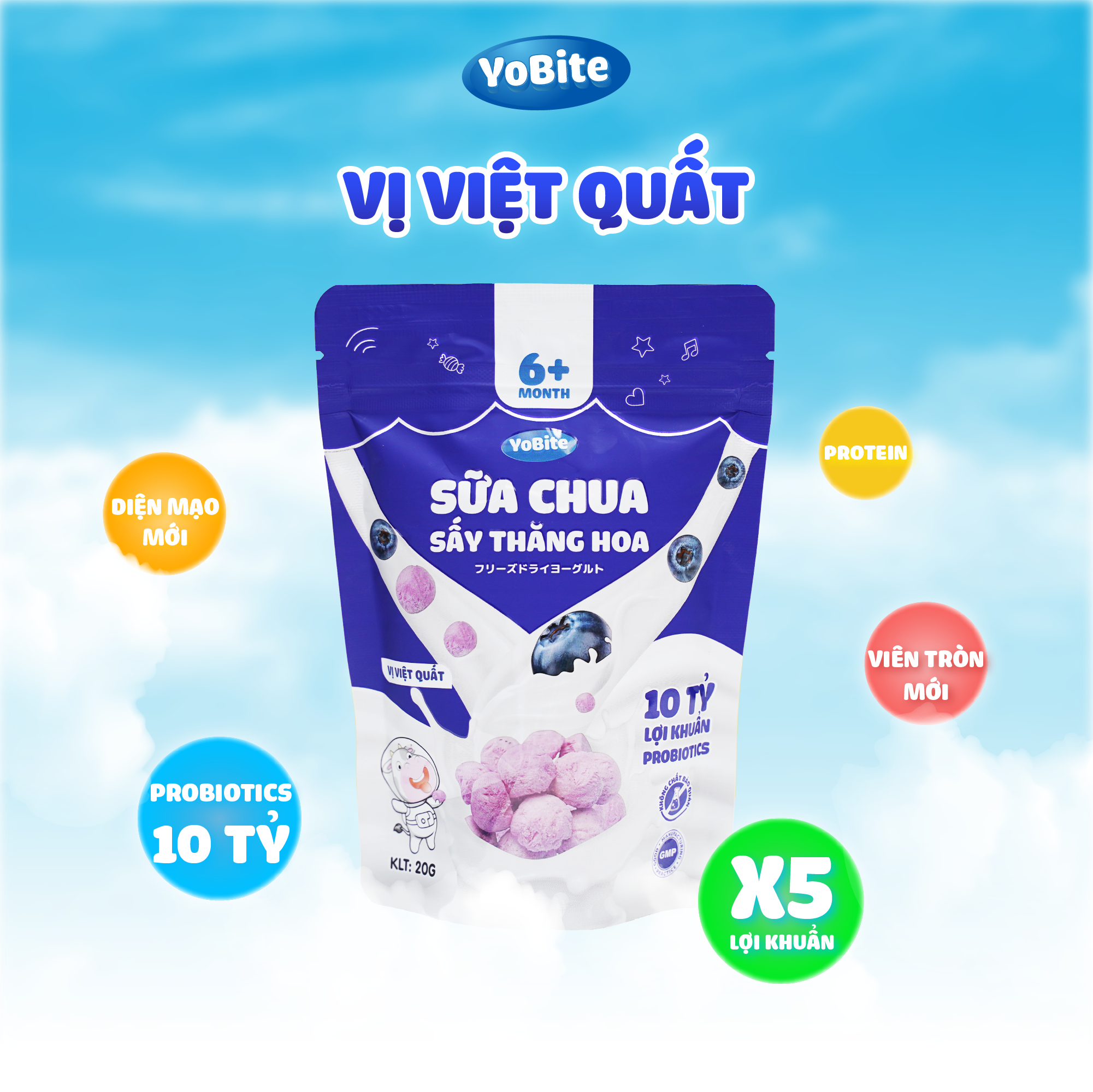  Sữa Chua Sấy Khô Cho Bé 20gr - Vị Việt Quất - Phiên Bản Mới 