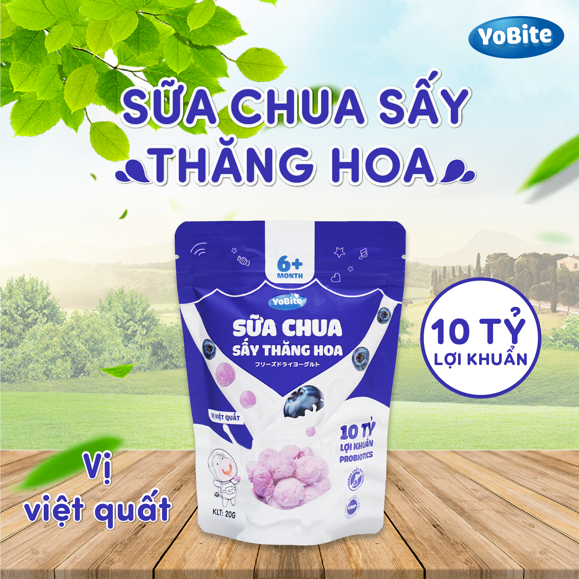  Sữa Chua Sấy Khô Cho Bé 20gr - Vị Việt Quất - Phiên Bản Mới 